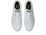 アシックス GOLDSTAGE I-PRO FORCESPEED WIDE【1121A074.110】10%OFF/送料無料